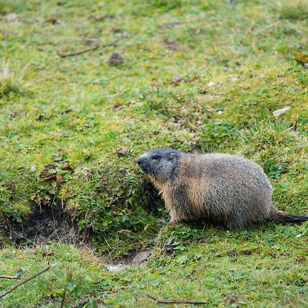 Naturhotel Haller Racines Kültér fotó