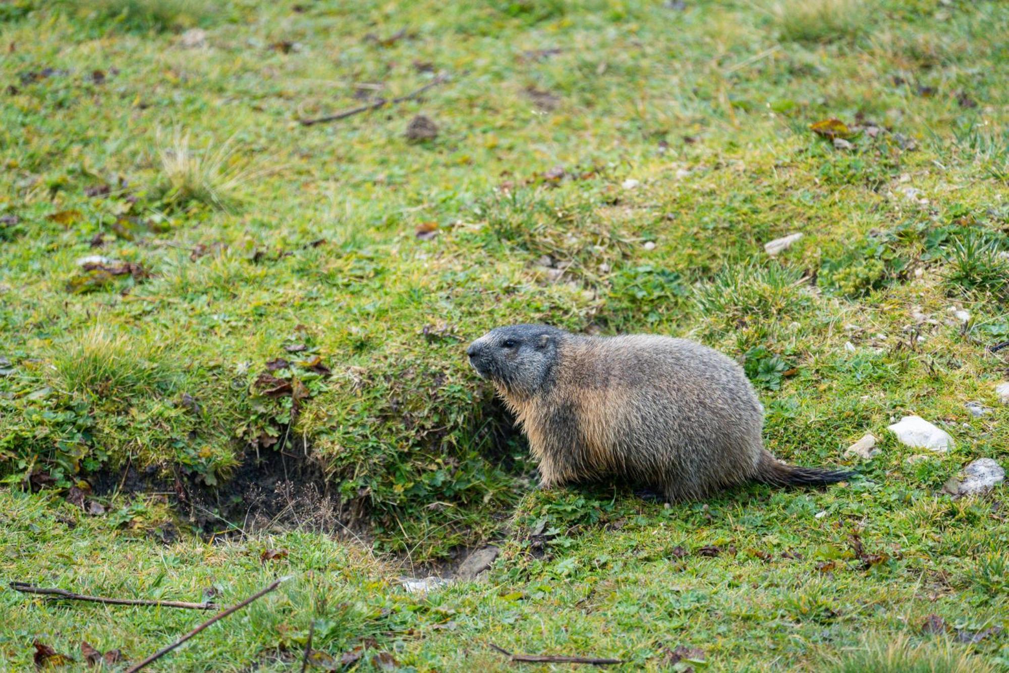 Naturhotel Haller Racines Kültér fotó